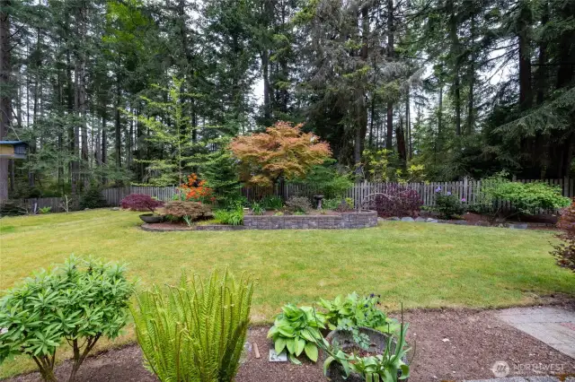 Such an amazing yard!