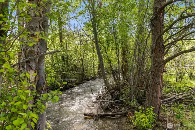 Creek view on the East side of the property.