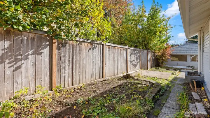 Yes, those are the raspberry plants in the lower left of the photo - already established and ready for next season's picking! This side yard is wonderfully private, with plenty of room to garden, relax, or simply enjoy the peaceful setting.
