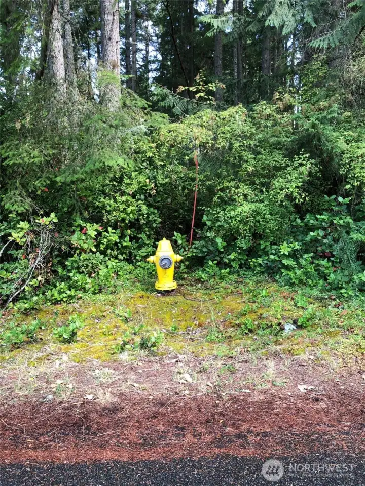 View of lot from street