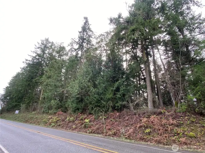 View from Oak Bay Road
