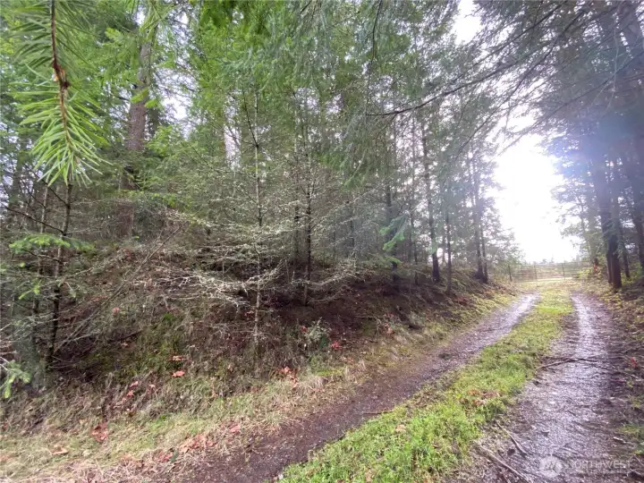 Access road, Magnolia Ave, West of property