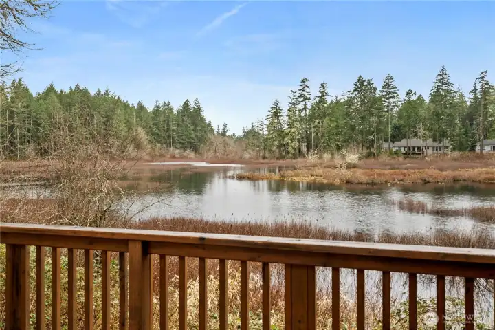 Such incredible views!