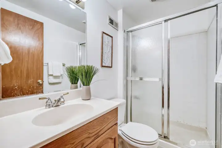 Basement bathroom