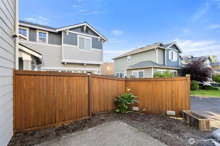 backyard 1