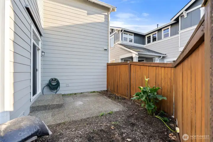 Backyard