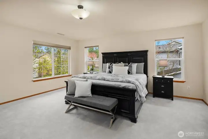 The generously sized primary suite offers plush carpeting, abundant natural light from multiple windows, and a serene atmosphere — a true retreat at the end of the day.