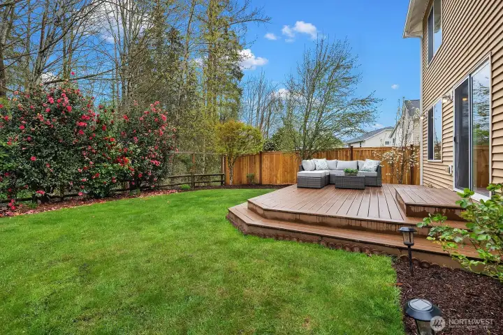A wider view of the beautifully maintained backyard showcasing the spacious lawn, raised deck, and mature landscaping bordering the natural open space — a private and peaceful outdoor retreat.