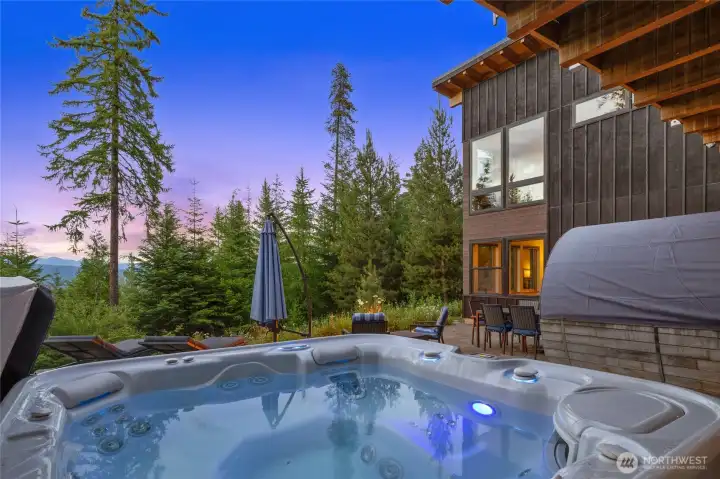 Hot Tub and Sauna on back patio