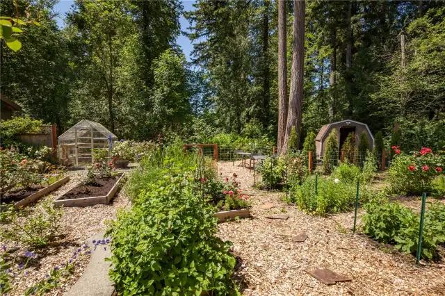 Raised garden beds, greenhouse, mature plants and more