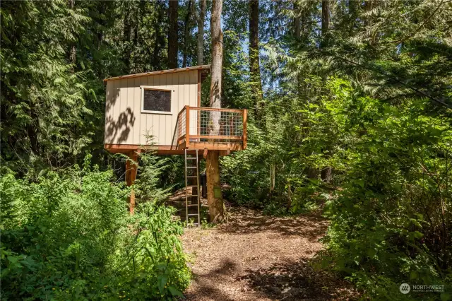 Treehouse in the woods at the back of the property
