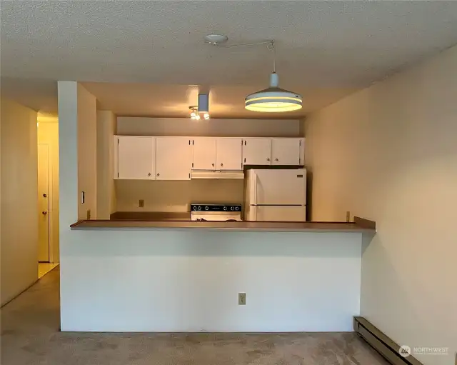 Looking into the kitchen from the dining room.  You can put bar stools on this side if you would like.