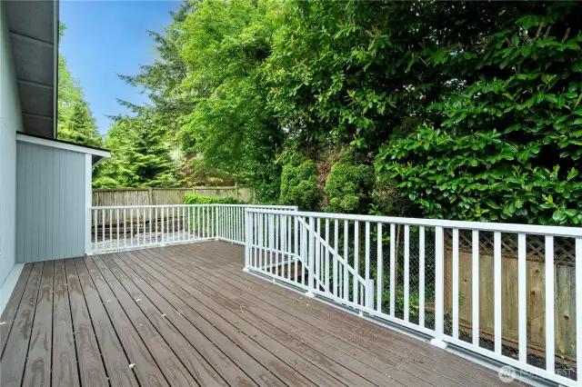 2 Expansive Decks