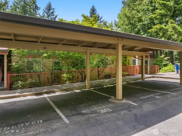 Covered parking space included with the unit