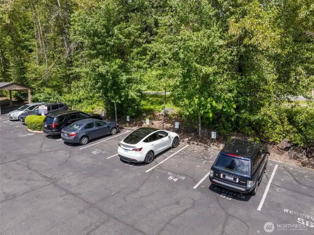 Ample guest parking