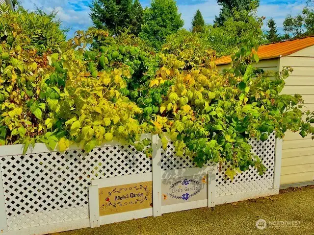 Berry Garden!