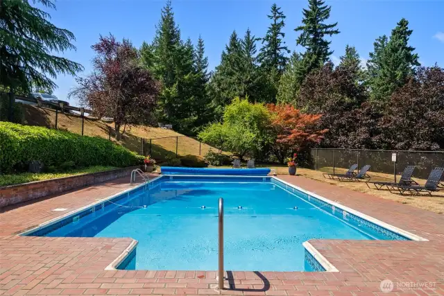 Sparkling pool