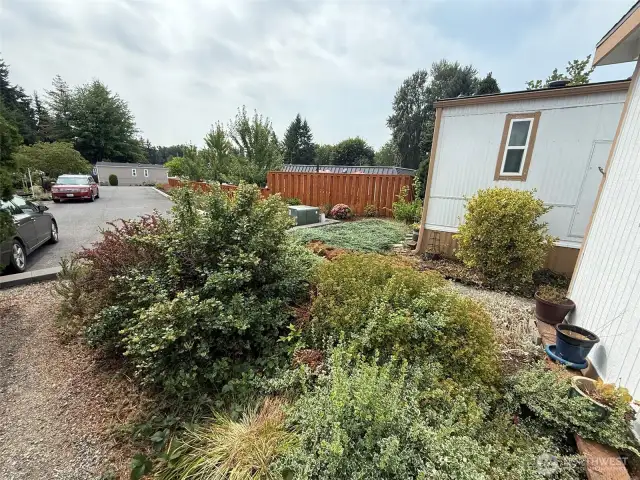Back yard