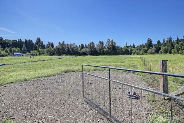 24.68 acres of lush cross fenced pastures and no climb fencing