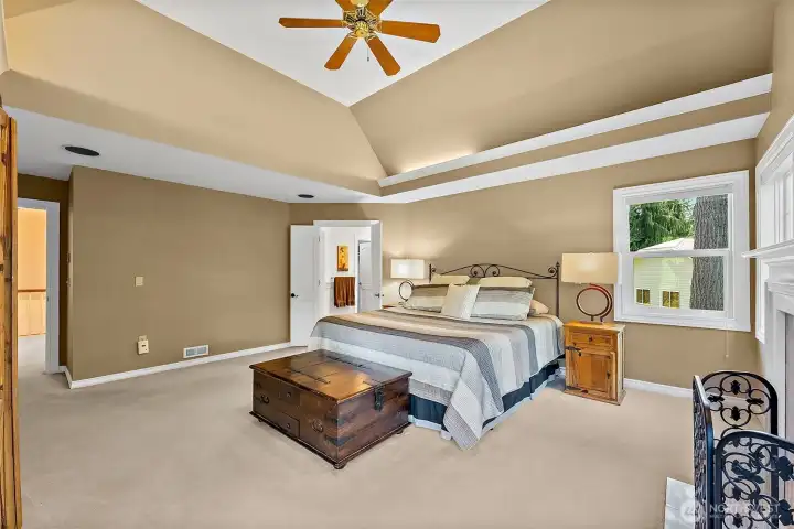 Another Primary View