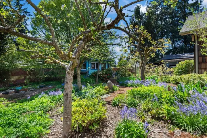 Garden, Fruit Trees, Vegetables, Flowers