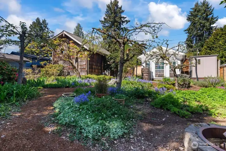 Garden, Outdoor Fireplace