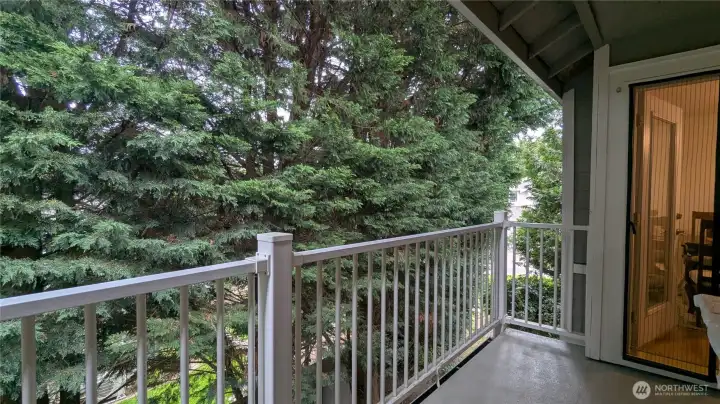 Great privacy from back deck