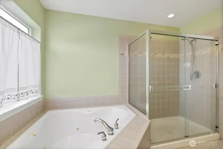 More Primary Suite Bath with Jacuzzi and separate shower