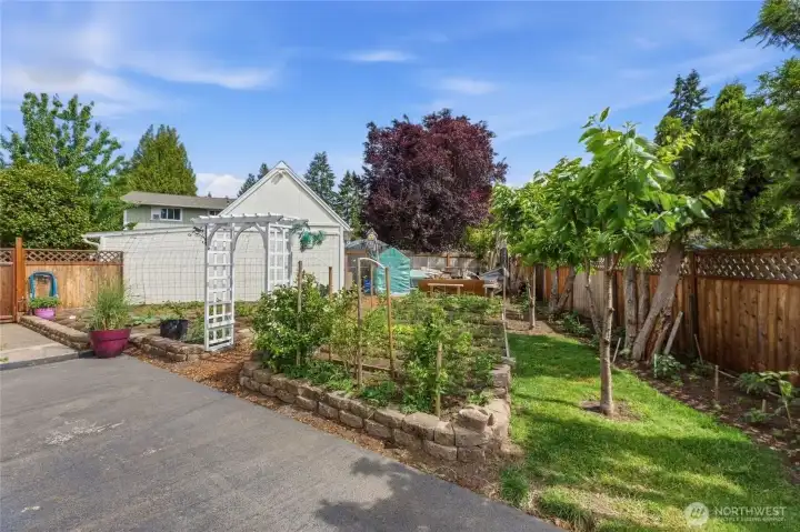 THIS is your chefs garden and shed for your tools
