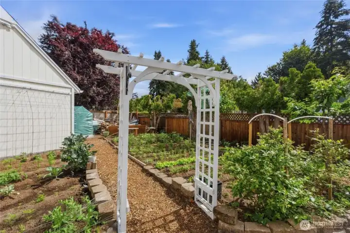 A welcoming area. Cherries from the tree? Yes!