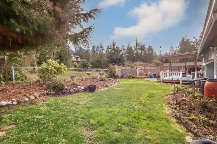 Back yard.