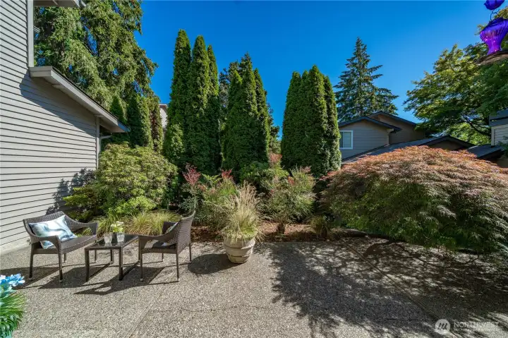 Private backyard