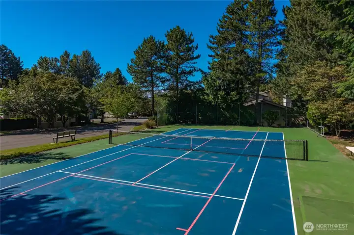 Community sport ccourt for tennice/pickball