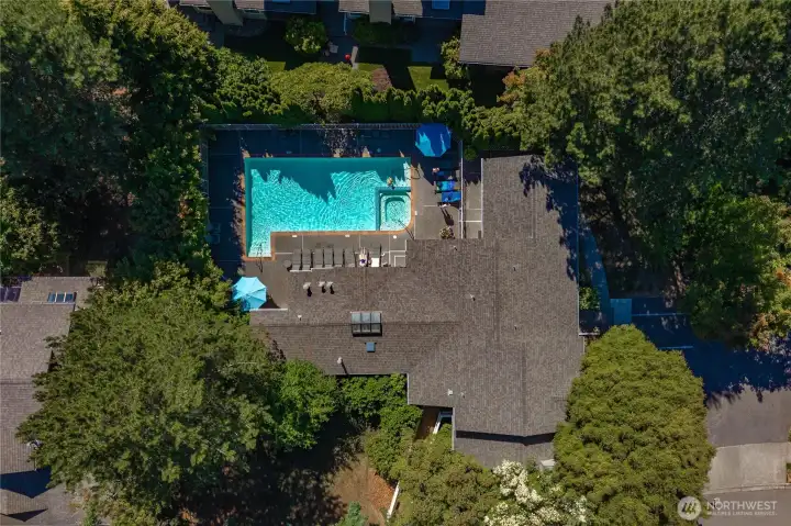 Communtiy pool