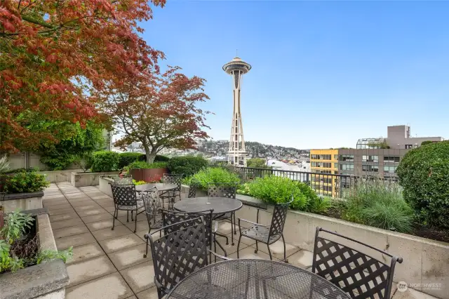 Take in stunning, unobstructed views of the Space Needle from the lush rooftop garden, perfect for morning coffee or evening relaxation in the heart of the city.