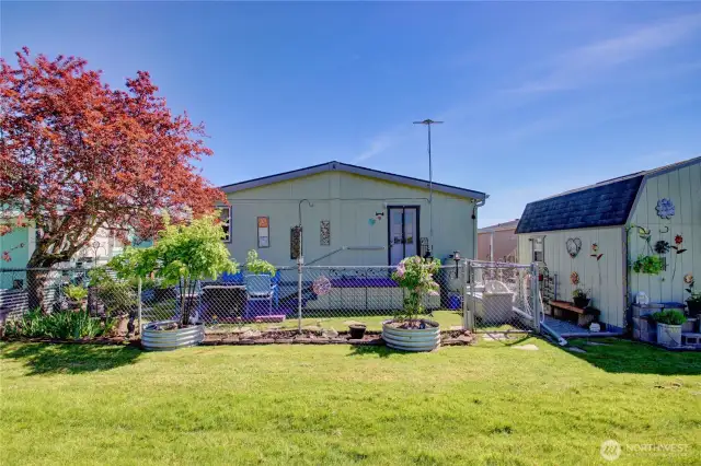 Another view of the backyard oasis.