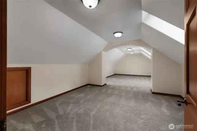 Bonus Room Up. Skylights throughout the house.