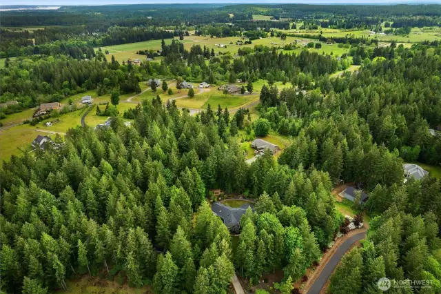 Nice wooded 5 acre lot - plenty of room for a shop to be built hidden in the trees.