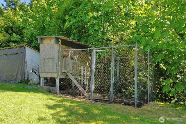 Large woodshed next to the coop. The chicken coop just needs some chickens! Fresh eggs anyone?