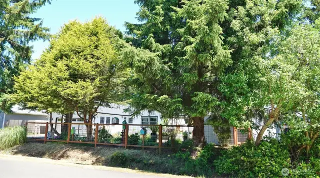 Look at how much privacy there is from the street...Fenced Yard w/ lots of privacy from the street.
