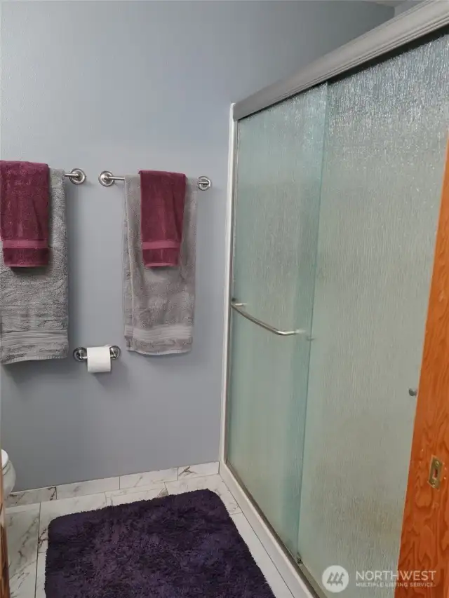 Master Bathroom w/ newer shower door.
