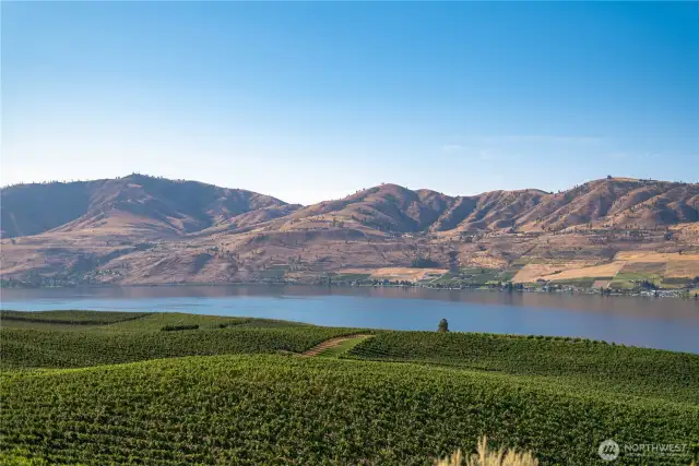 Manson Vineyards