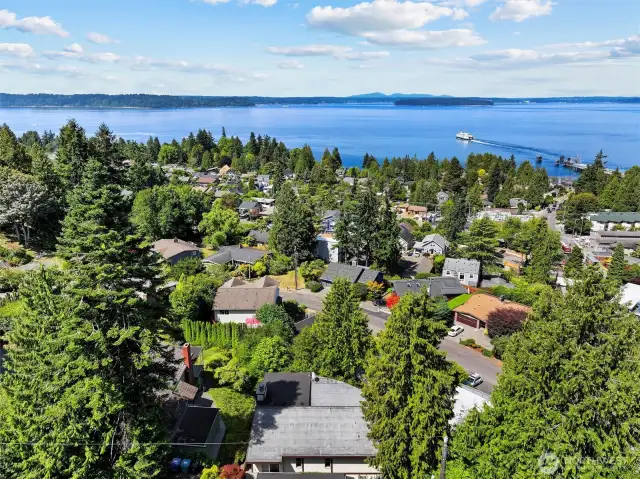 Drone shot of Puget Sound from above driveway.