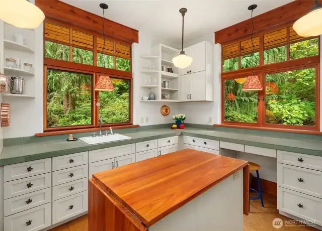 Special room off of kitchen for multi purposes………prep, pantry, misc storage, crafts, flower arranging, etc.