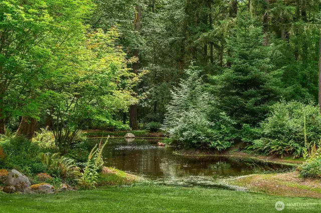 Another view of one of the ponds on the property