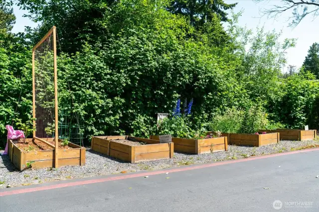 Community Plantings