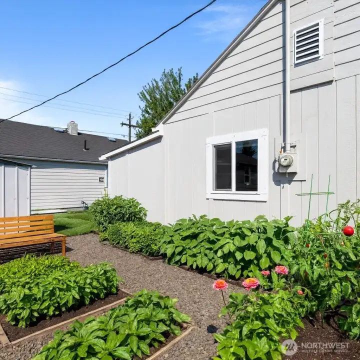 Rendering of back yard