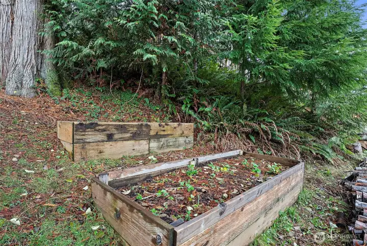 Built in garden beds