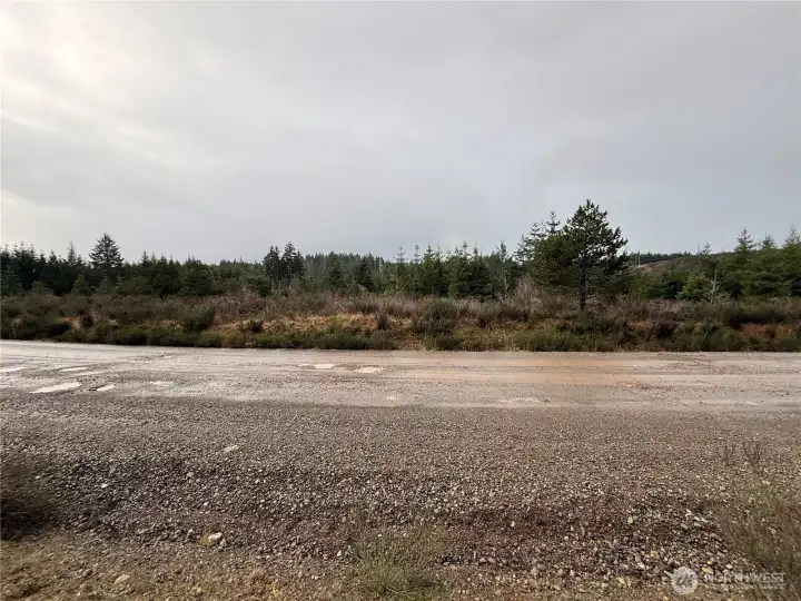 Looking west across California Road. Any number of level home sites to choose from!