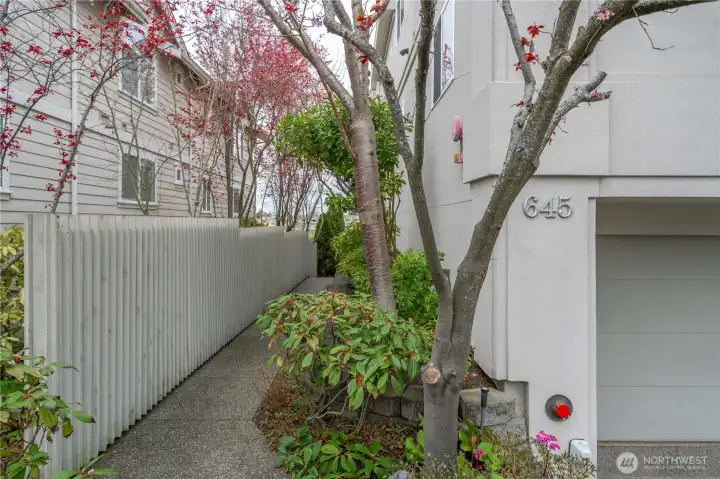 Walkway to main entrance of building